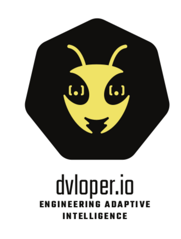dvloper Logo